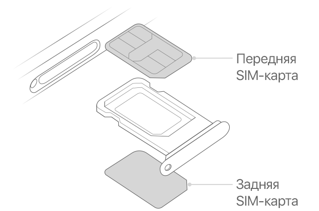 iPhone не видит SIM-карту - как решить проблему?