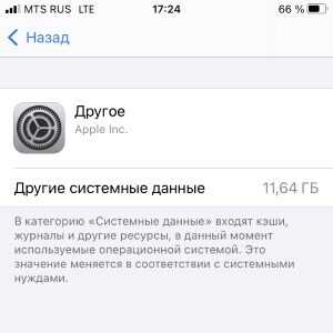 Что такое системные данные на iPhone?