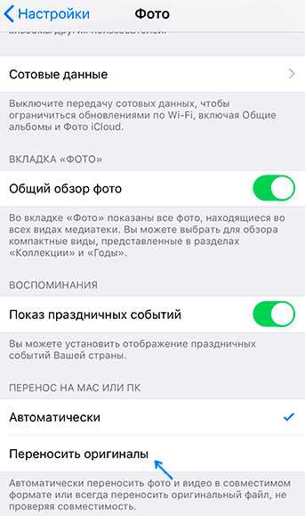 Как скопировать файлы с iPhone на компьютер через iTunes?