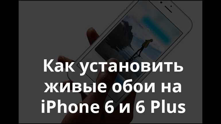 2. Проверьте поддержку движения Live Photo