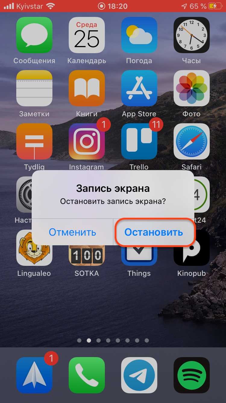 Шаг 5: Редактирование видео скриншота